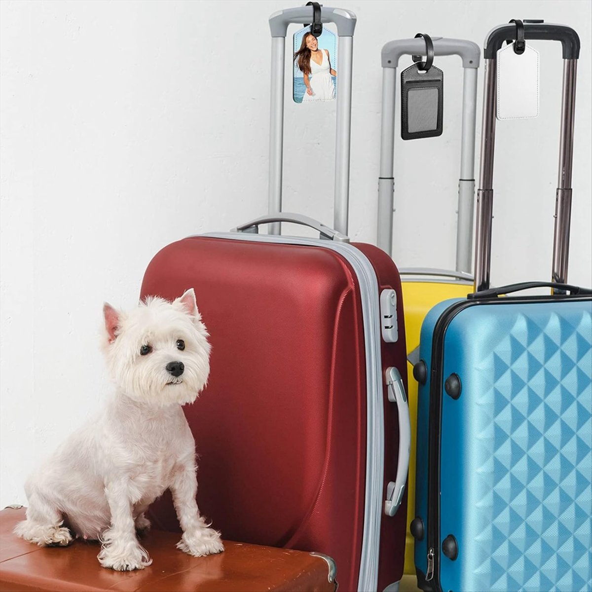 Sublimation Luggage Tags White - Luggage Tag Leather ulasan dan harga